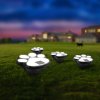 LED solárna lampa - psia labka , zapichovacia - plast - čierna