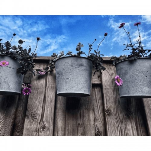 Závesný pozinkovaný kvetináč 8x9,5x10 cm