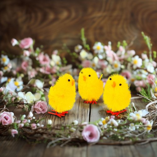 Húsvéti dekorácia - sada kuriatok - žltá - 6,7 x 5 cm - 3 ks / balenie