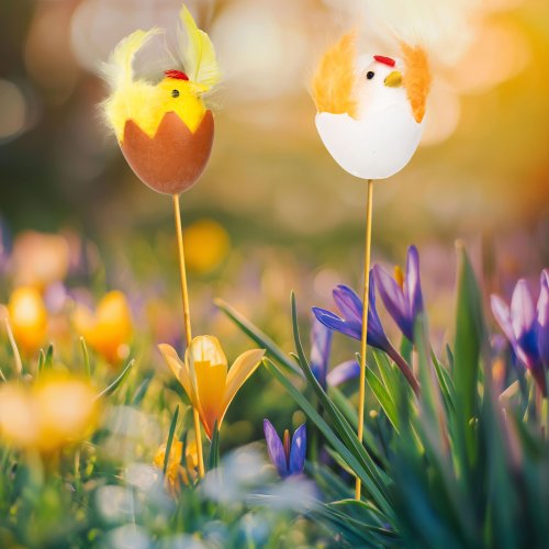 Veľkonočná dekorácia - kuriatko, sliepka - zapichovateľná - 28 cm