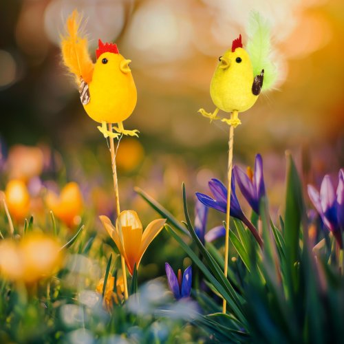 Veľkonočná dekorácia – kohút – 2 druhy – zapichovateľný – 24 cm