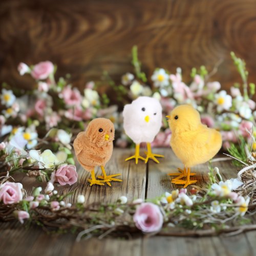 Veľkonočná dekorácia - kuriatko - 3 druhy - 11 x 7 x 6 cm