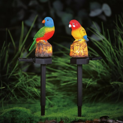 Zapichovacia solárna dekorácia - papagáj - 1 teplá biela LED - 8 x 60 x 41 cm
