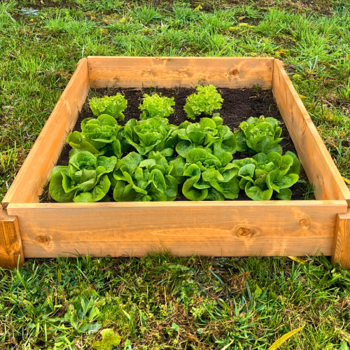 LSH Modul Box – Modulárny vyvýšený záhon