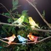 Solárna sveteľná reťaz - vtáčik, so štipcom - 80 cm - 5 farebných , RGB LED