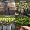 100 ks biologicky rozložiteľných vreciek na pestovanie sadeníc