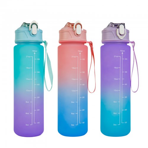 Športová fľaša - 750 ml - opálová - modro-fialový farebný prechod