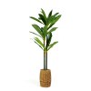 Umelá rastlina dekorácia - Dracaena Fragrans - 1,1-1,2 m