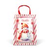 Vianočná darčeková taška - 32 x 25 x 11 cm - 2 druhy