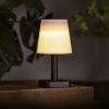 Solárna stolová lampa – biela – teplá biela LED – plast – 23 x 12 cm