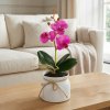 Umelá rastlinná dekorácia - orchidea - 3 druhy - 32,5 cm