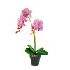 Umelá rastlinná dekorácia - orchidea - 2 druhy - 54 cm