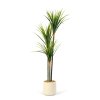 Umelá rastlina dekorácia - Dracaena Marginata - zelená - 1,2 m
