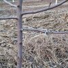 20-dielna záhradná súprava náradia, odolný ohýbač konárov ovocných stromov, nástroj na formovanie rastu rastlín
