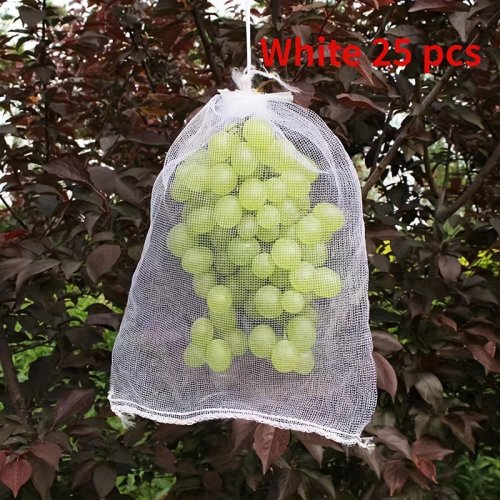 25 ks 20 cm x 30 cm Vrecko na pestovanie ovocia