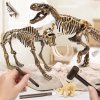 Dinosauří archeologická súprava