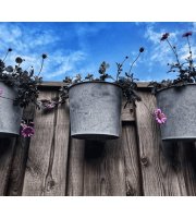 Závesný pozinkovaný kvetináč 8x9,5x10 cm