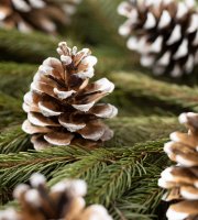 Vianočná dekorácia - šiška - 5 x 4,5 cm - 10 ks / balenie