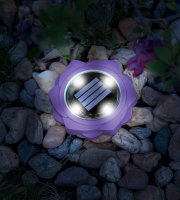 LED zapichovacia solárna lampa - fialoví - studená biela LED - 11,5 x 2,3 cm