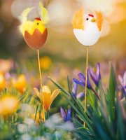 Veľkonočná dekorácia - kuriatko, sliepka - zapichovateľná - 28 cm