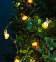 LED sveteľná reťaz - zajac a mrkva - 2 m - 20 LED - 2 x AA