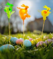 Veľkonočná dekorácia - zajačik - 3 druhy - 23 cm - zapichovacie