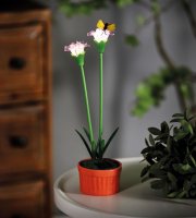 Farebné solárne kvety - 8 x 8 x 32 cm - 10 teplých bielych LED - fialová