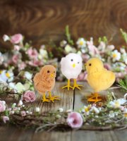 Veľkonočná dekorácia - kuriatko - 3 druhy - 11 x 7 x 6 cm