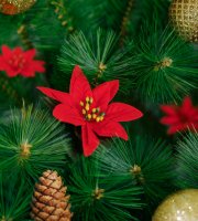Vianočná dekorácia - vianočná hviezda - 50 cm