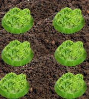 Záhradnícke ochranné obojky proti slimákom