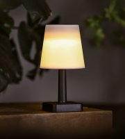 Solárna stolová lampa – biela – teplá biela LED – plast – 23 x 12 cm