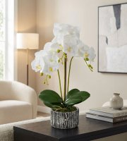 Umelá rastlinná dekorácia - orchidea - 2 druhy - 53 cm