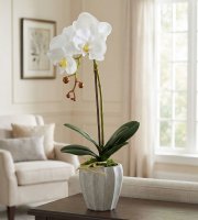 Umelá rastlinná dekorácia - orchidea - 3 druhy - 45 cm