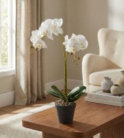 Umelá rastlinná dekorácia - orchidea - 2 druhy - 54 cm