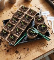 Sada na pestovanie sadeníc - 66 ks - 35,4 x 23,7 x 6,1 cm