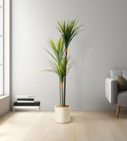 Umelá rastlina dekorácia - Dracaena Marginata - zelená - 1,2 m