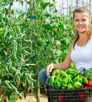 5 m-es kotúč prémiového opakovane použiteľného nylonového rastlinného viazacieho prvku